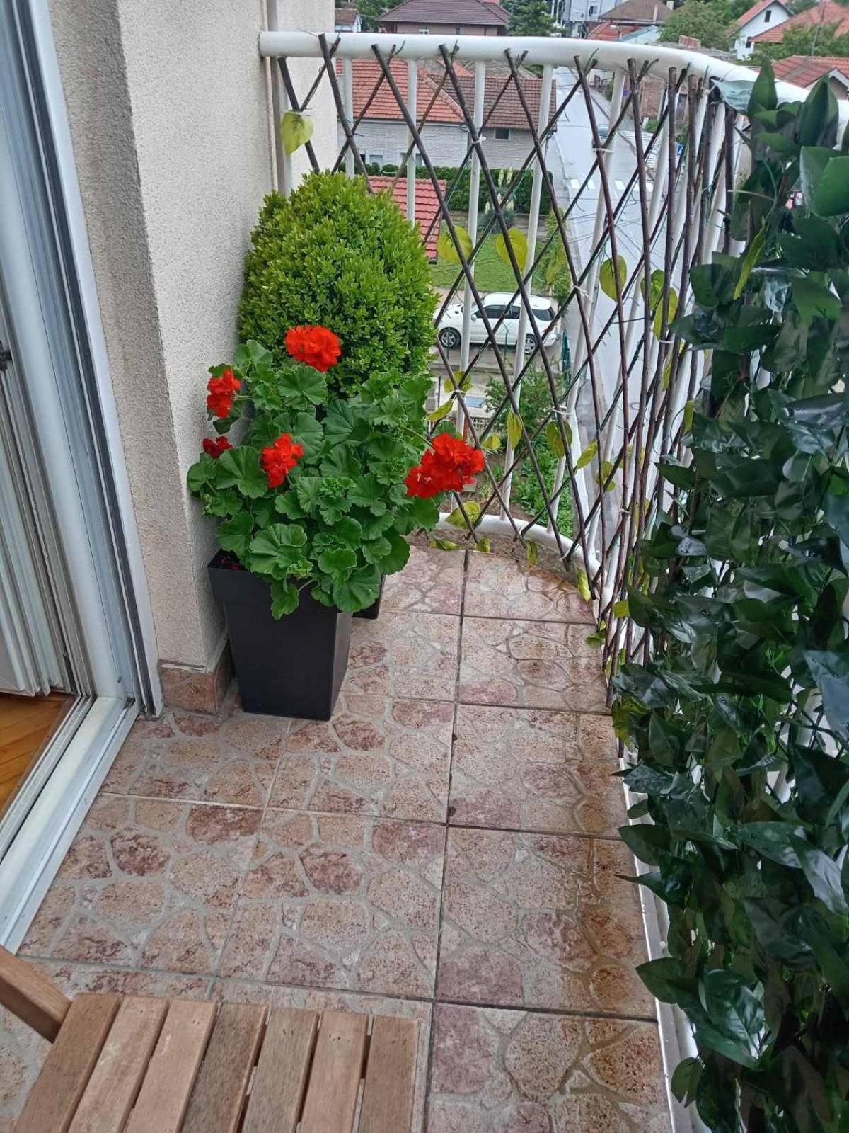 Apartman Centar Požarevac エクステリア 写真