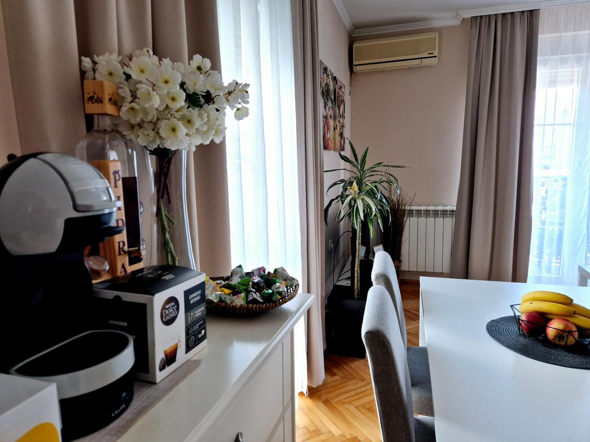 Apartman Centar Požarevac エクステリア 写真