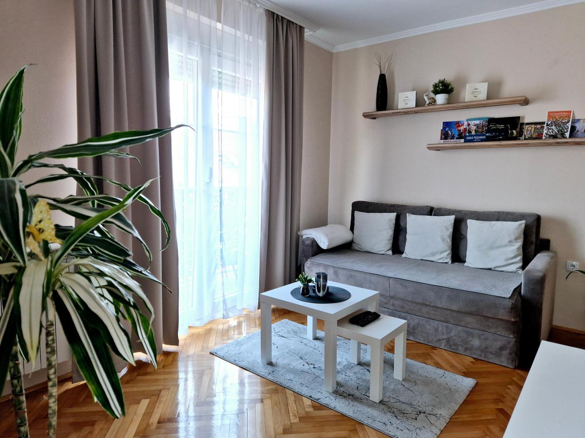 Apartman Centar Požarevac エクステリア 写真
